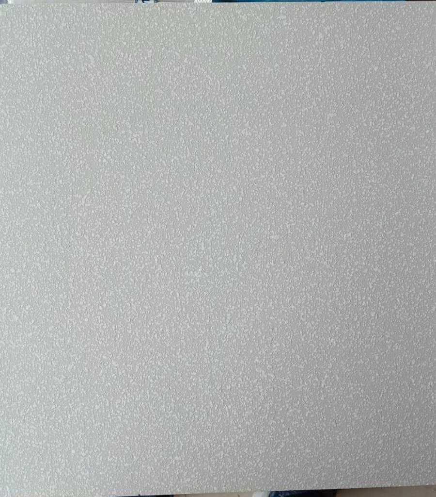 Matte Finish Galaxy EC Grey Ceramic tile 300x300 mm