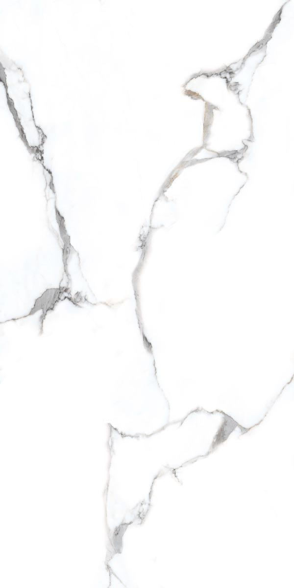 Carving Matte White Majestic Statuario Carving Porcelain tile 600x1200 mm