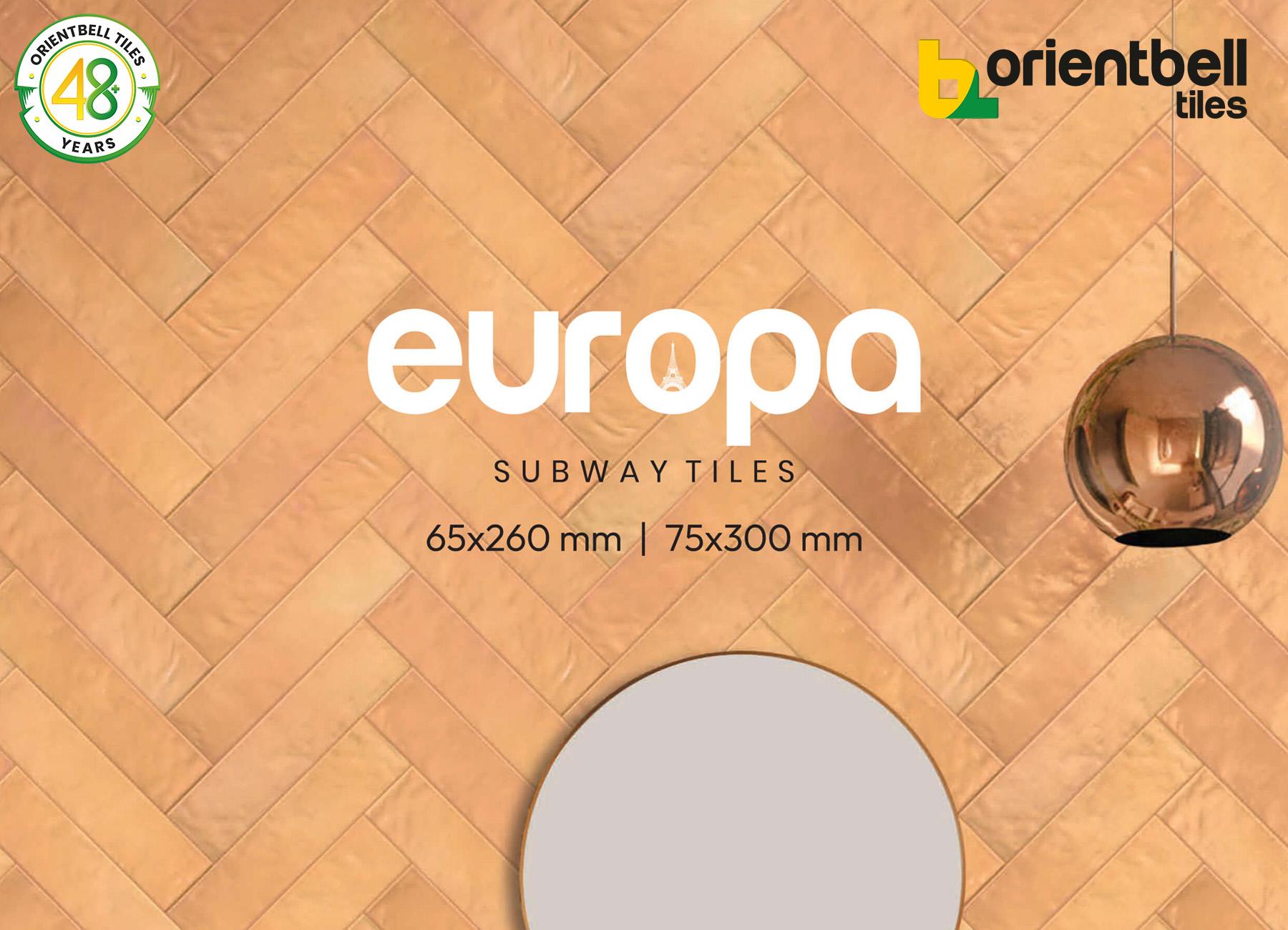 Europa Subway Tiles Catalogue 2026 | 65x260 & 75x300 mm 